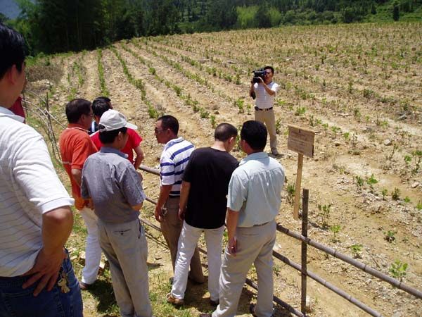 點(diǎn)擊新窗口打開大圖