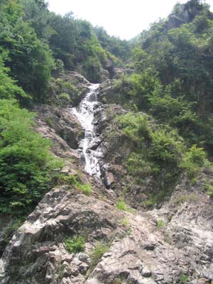 點擊新窗口打開大圖